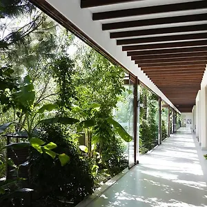 Hotel The Lifeco Bodrum Well-being Detox Center And Vegan (adults Only), Türkbükü